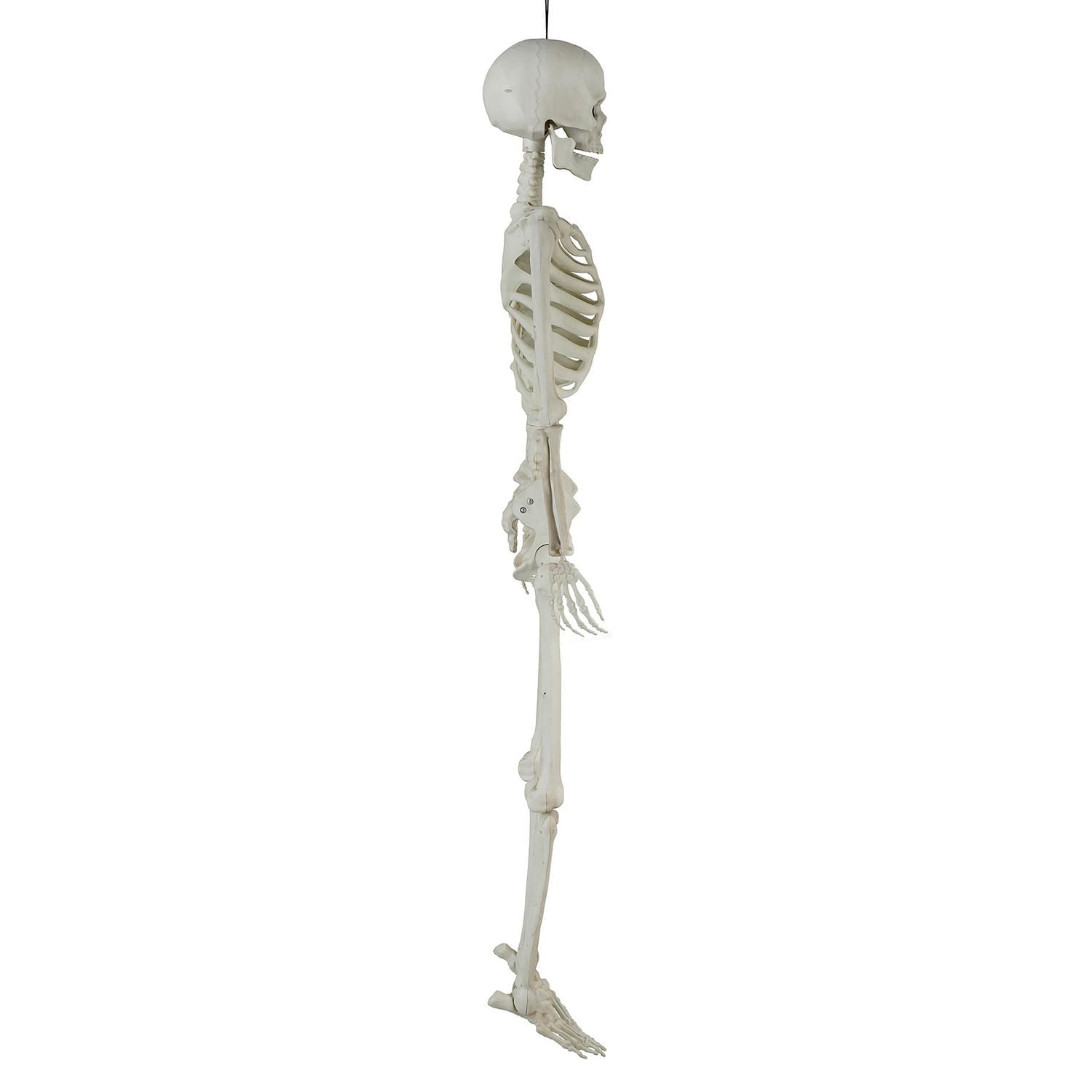 Halloween Deco Way to Celebrate 60inch Pose-able Skeleton Non-function