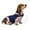 Blue, variant on Adjustable Dog Anxiety Jacket Stress Calming Vest for Travel and