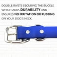 thumbnail image 6 of Regal Dog Products Waterproof Collar with Double Buckle and D Ring, 6 of 8