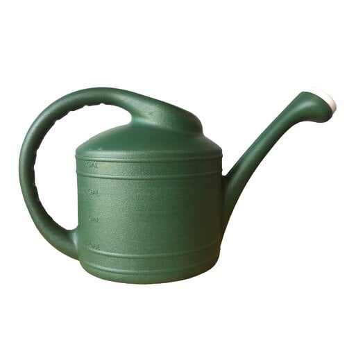 Southern Patio WC8108FE 2 Gallon Plastic Watering Can