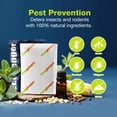 thumbnail image 4 of EcoVenger Pest Control Aroma Sachets 12-Pack Pouches, Natural Insect Repellent, Moths, Mosquitoes, Spiders, Roaches, Lasting Deterrence, Peppermint/Cedar/Lemongrass Safe Around Children & Pets, 4 of 10
