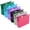 Assorted Colors, variant on Extra Capacity Plastic Hanging File Folders,12 Pack Reinforced Expanding Hang Folder Letter Size,Accordian Pocket,Heavy Duty 2 Inch Expansion,Hanging Folder Organizer for Office Home,Assorted Colors