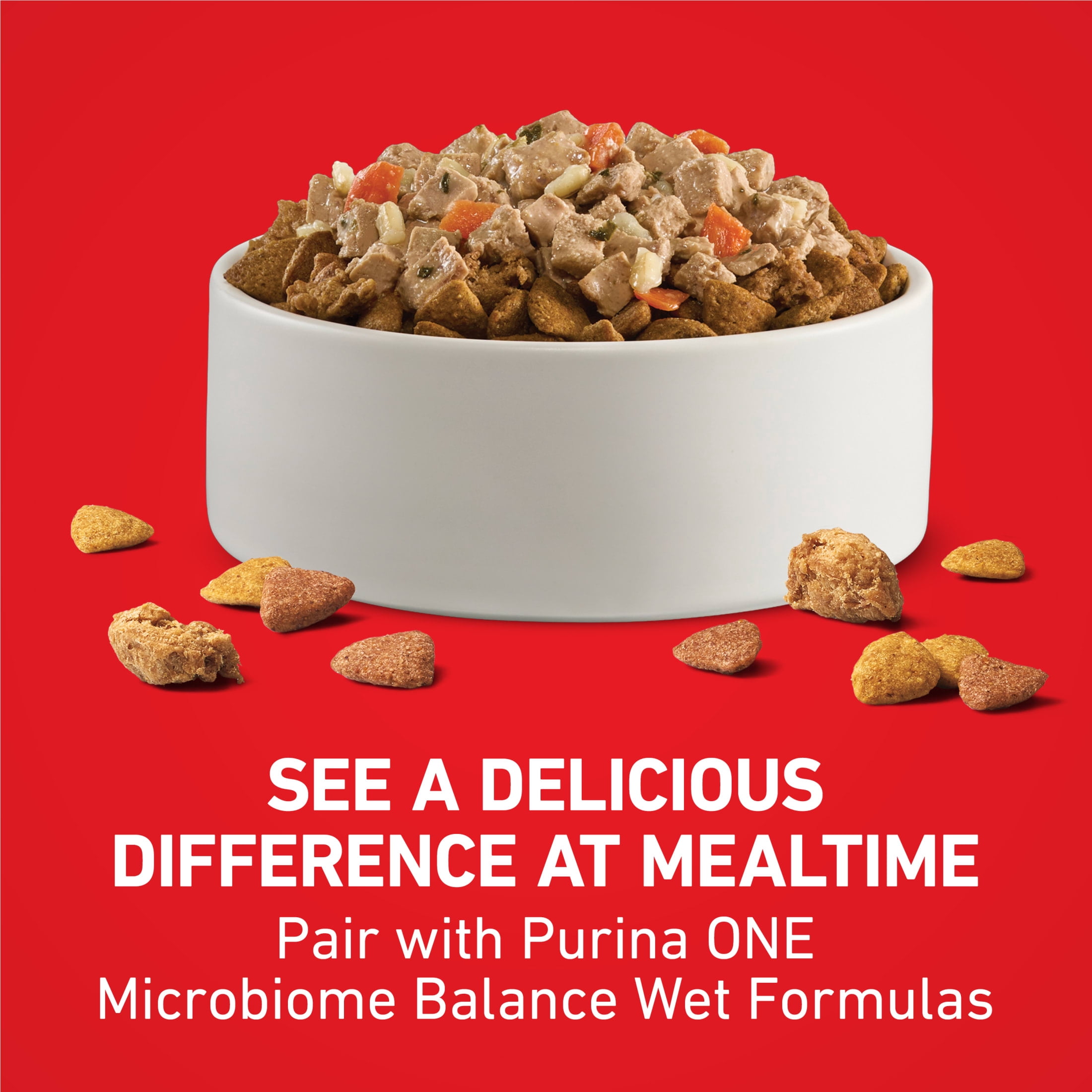 Purina ONE Chicken and Rice Formula Natural Dog Food, 16.5 lb