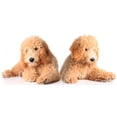 thumbnail image 2 of Golden Doodle Puppies Wall Decal by Wallmonkeys Peel and Stick Graphic (36 in W x 17 in H) WM189096, 2 of 4