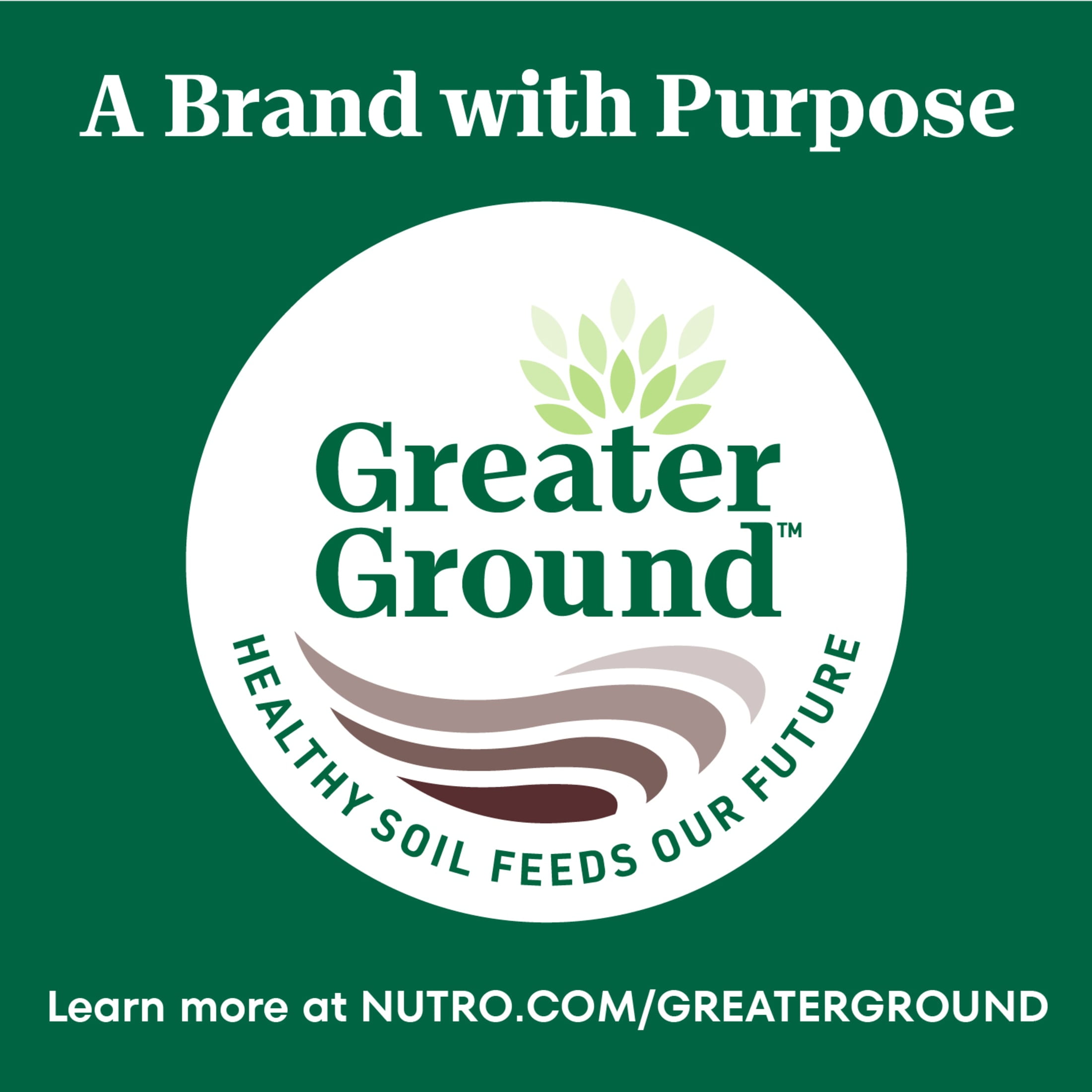 (3 pack) Nutro So Simple Chicken & Duck Recipe In Bone Broth Wet Dog Meal Complement, 2 Oz Tray