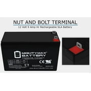 12 VOLT 9 AH SLA BATTERY NB terminal - 10 Pack