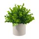 thumbnail image 2 of Plantas artificiales en maceta con hojas de plástico para decoración del hogar, oficina, baño, estantería, verdura de bajo mantenimiento, 2 of 5
