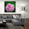 thumbnail image 5 of Epic Art 'Flower' by Epic Portfolio, Acrylic Glass Wall Art, 36"x36", 5 of 8