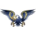 thumbnail image 1 of Autocollant sticker vinyl aigle drapeau kosovo, 1 of 1