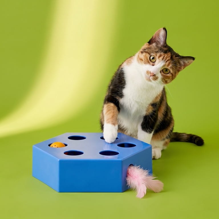 Vibrant Life Hex Maze Electronic Cat Toy, Interactive Hexagon Maze