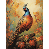 Pheasant Bird Decorative Painting/Canvas Art， Perfect for Living Room， Bedroom， Dining Room， Office， Study Room， and Hallway Decoration， Colorful Autumn Feathered Bird Artwork Home Decor.