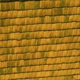thumbnail image 1 of Ahgly Company Machine Washable Indoor Square Transitional Mahogany Brown Area Rugs, 4' Square, 1 of 7
