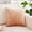 B, variant on Velvet Throw Pillow 17.7x17.7 Inch – Soft Lumbar Support Cushion,Soft Square Cream Throw Pillows for Sofa, Chair, Bed – Home Decor & Back Relief,Farmhouse Home Decor,Multi-color Choice
