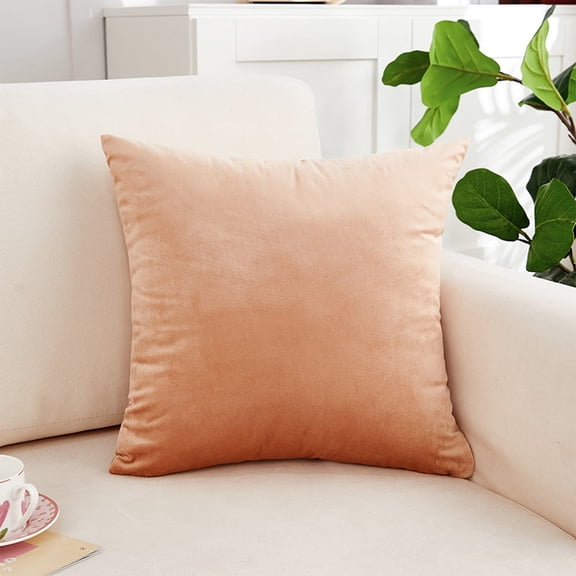 Euahivb Velvet Throw Pillow 17.7x17.7 Inch Soft Plush Cushion for Sofa Couch Living Room Bedroom Home Decor Accessories