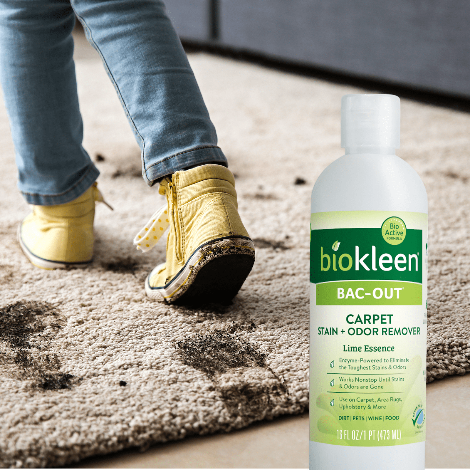 Biokleen Bac-Out Carpet & Fabric Stain and Odor Remover with Enzymes - 2 Pack, 32 oz (64 oz)