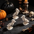 thumbnail image 6 of Halloween Crow Figurine Set, 3Pcs Resin Black Raven Skeleton Bird Statues with Red Eyes for Gothic Tabletop Decor, Spooky Party Props for Home Garden Yard Haunted House and Holiday Display, 6 of 6