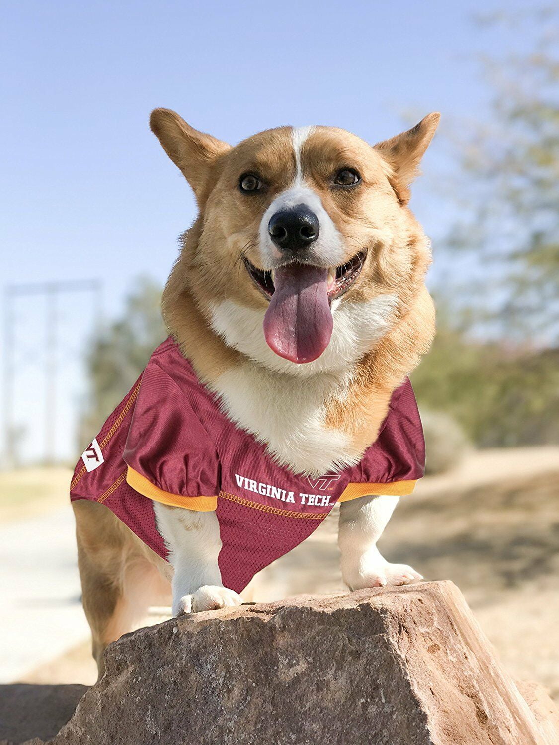 Pets First Collegiate Virginia Tech Hokies Football/Basketball Mesh Jersey for Pet Dog. available in 40+ Teams - Extra Small