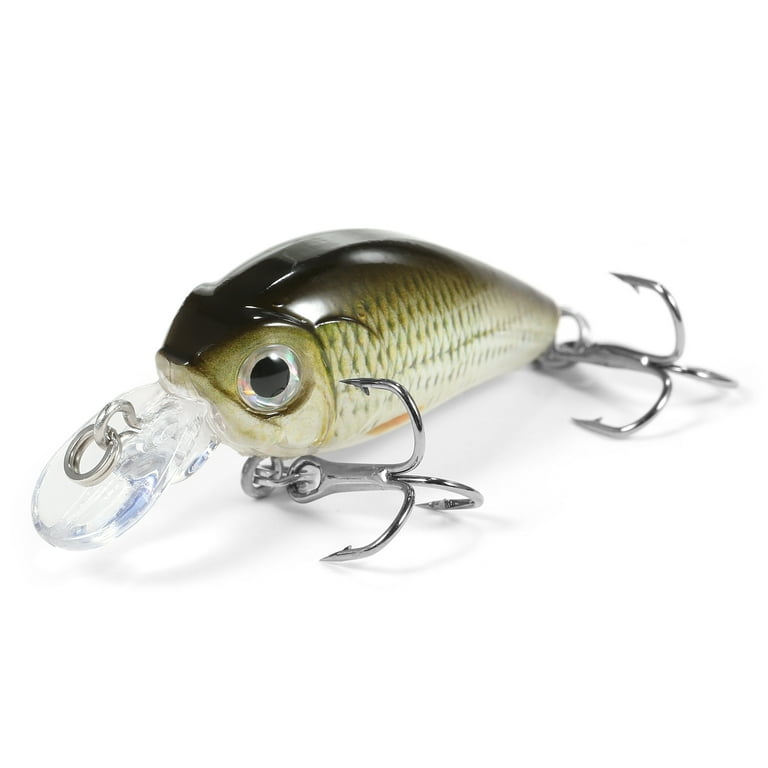 Hard Bait Swimbait Fishing Lure with Treble Hook - Fishing Lures Crankbaits  with Treble Hook,Fishing Tackle Crankbait Bass, Hard Bait Swimbait Fishing  Lure for Saltwater and Freshwater Odod : : Sports 