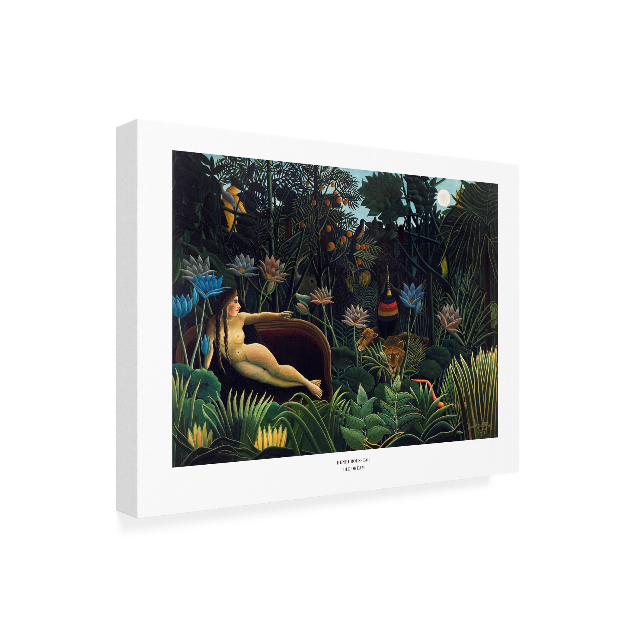 Trademark Fine Art Pictufy The Dream Canvas Wall Art