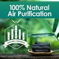 AIRJOI Bamboo Charcoal Air Purifying Bag (3Pack), Activated Charcoal