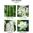 thumbnail image 3 of NEST New York Reed Diffuser Liquid Refill, Bamboo - 5.9 fl oz, 3 of 4