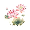 thumbnail image 4 of Pegatina de pared de loto, impermeable, fácil de instalar, calcomanía de pared de flores, decoración del hogar para dormitorio, sala de juegos, Estilo B, 4 of 9