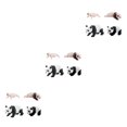 thumbnail image 2 of Bewildely Ciclo de vida Figuras de animales Juguete 4 etapas de Panda Ciencia Juguetes educativos estilo B Type1 NO1, 2 of 6