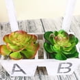 thumbnail image 5 of Joernso 1Pc Plastic Fake Artificial Succulents Plant Bonsai Garden Home Office Decor, 5 of 8