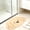 Brown Dog, variant on Cute  Bath Mat Quick Dry and Absorbent Microfiber, Non-Slip Thin Bath Rug, Lovely Floor Mat for Bathroom, Shower, Sink Side, Brown , 17"x25"