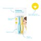thumbnail image 2 of Cepillo de dientes Frida Baby Triple-Angle Toothhugger para niños pequeños, paquete de 2, 2 of 4