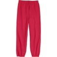 thumbnail image 3 of Hanes Boys EcoSmart Active Fleece Sweatpant, Sizes XS-XL, 3 of 5