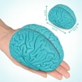 thumbnail image 3 of Brain Model Skillssist: corte transversal del cerebro humano para niños, 3 of 7