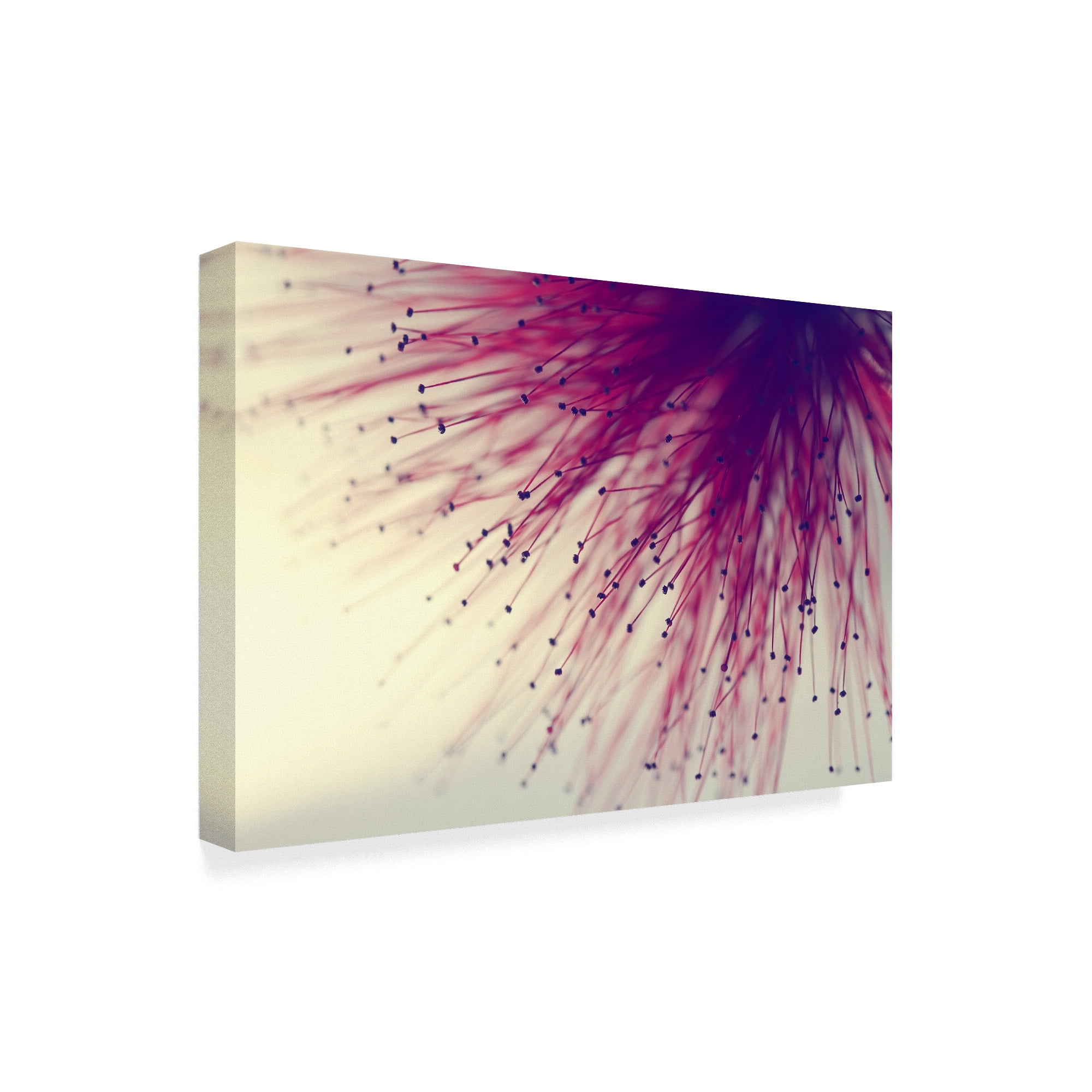 Trademark Fine Art 'Into The Unknown Pink' Canvas Art by Incredi