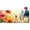 Flower, variant on Spring Mailbox Covers Decorative Mail Box Covers Oil-Art Style Sunflowers Standard Size 21 x 18 Inch Polyester Waterproof Letter Box Decoration for Garden Yard Buckle Design Non Magnetic