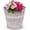 Antique White, variant on Headwind IronLite Ensley – 6" Antique White Decorative Metal Planter with High‑Gloss Embossed Design – Indoor Plant Pot with Drainage Hole & Modern Round Style for Home & Outdoor Use by Robert Allen
