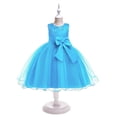 thumbnail image 1 of Vestido de niña Vestido de niña de flores Falda de niña de flores Vestido de malla abullonada Vestido de encaje con lazo Vestidos de bebé, 1 of 6