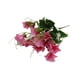 thumbnail image 1 of Kearding Flor falsa Plantas de plástico Colgante de pared Artesanía Decoraciones al aire libre Morning Glory Flores artificiales Tamaño compacto Flores artificiales Rosa roja Kearding HA070581-04, 1 of 6