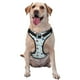 thumbnail image 1 of Balery Turtle Arnés para Perros Grandes Antitirones, Arnés con Correa para Gato, Arnés Tipo Chaleco para Perros Pequeños-Small, 1 of 6