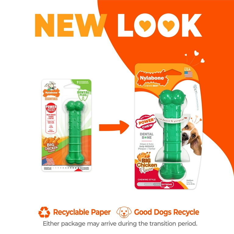 Nylabone Power Chew Textured Dental Chew Toy, Chicken Flavor