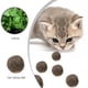 thumbnail image 4 of Gatos Natural Mint Comestible Bola Gatito Interactivo Mordedura Catnip Jugar Juguetes (01) JShteea Libre de BPA, 4 of 7