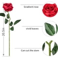 thumbnail image 4 of Red Silk Roses Artificial Rose Flowers Long Stem for DIY Wedding Bouquet Table Centerpiece Home Décor, 4 of 5