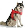 thumbnail image 7 of MASBRILL No Pull Dog Harness, Mesh Breathable Padded Dog Vest Harness Step-in No Choke Adjustable Dog Harness for Small Medium Large Dogs - Red M, 7 of 7