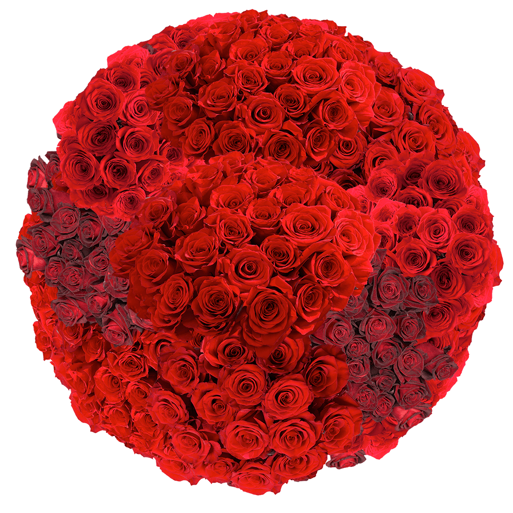 100 Red Roses- Fresh Flower Delivery - Walmart.com