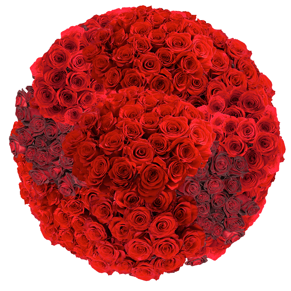 100 Red Roses Fresh Flower Delivery