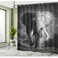 thumbnail image 4 of Ambesonne Grey Shower Curtain, Exotic Wildlife, 69"Wx84"L, Grey, 4 of 4