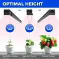 thumbnail image 6 of 1ft Grow Lights for Indoor Plants Full Spectrum, LED Grow Lamp with Black Cover, T5 Grow Light Strip, Under Cabinet Grow Light with Switch Cord, Plug and Play, Linkable, Pinkish White, 4 Packs, 6 of 18