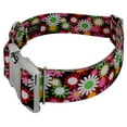 thumbnail image 3 of Country Brook Petz® 1 1/2 inch Premium Daisy Fields Dog Collar, Large, 3 of 5