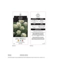 thumbnail image 2 of 2 Gallon Pee Gee Hydrangea, 2 of 6