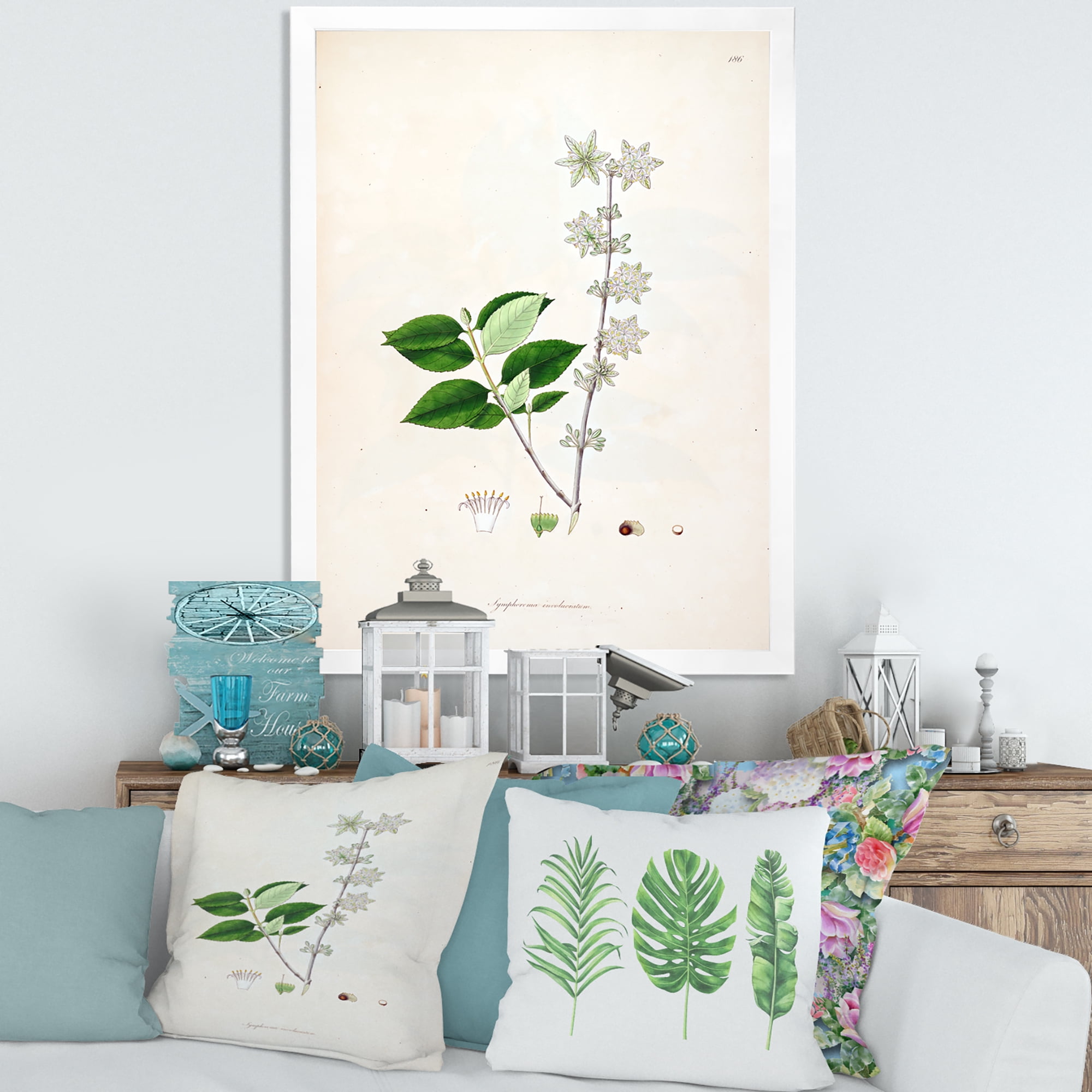 Designart 'Ancient Botanicals XV' Farmhouse Framed Art Print