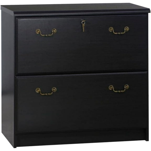 Saint Birch Transitional Wood Lateral File Cabinet in Espresso